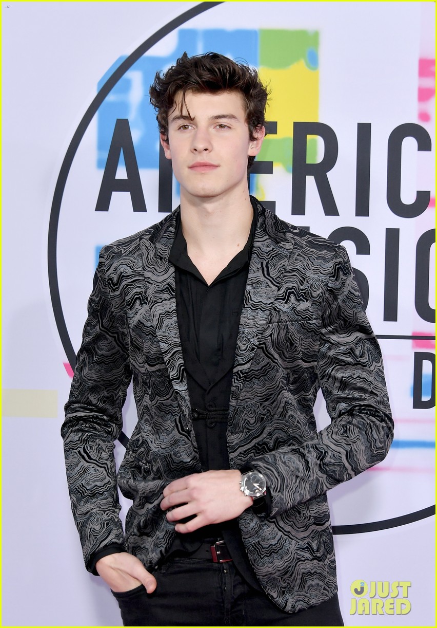shawn-mendes-2017-american-music-awards-05